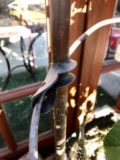 Garden Cane Connects, Set Of 6 -Grow Essentials Sales 8609019 03V tif