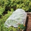 Easy Plastic Garden Tunnel -Grow Essentials Sales 8609052 0405 tif