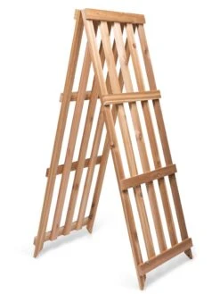 Cedar Shrub Guard -Grow Essentials Sales 8609071 5061