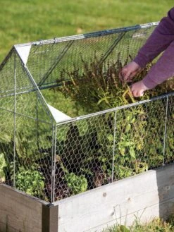 Chicken Wire Crop Coop -Grow Essentials Sales 8609080 0187