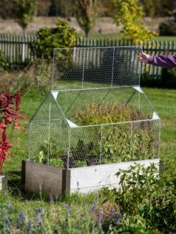 Chicken Wire Crop Coop -Grow Essentials Sales 8609080 4024