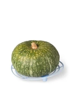 Melon And Squash Cradles, Set Of 6 -Grow Essentials Sales 8609464 5204 tif