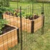 6 Panel Critter Fence With Gate -Grow Essentials Sales 8609844 8458 6 panel critter fence with gate 3 4