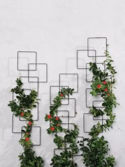 Building Blocks Wall Trellis, 45" 8 Building Blocks Wall Trellis, 45" -Grow Essentials Sales 8610183 5811 tif
