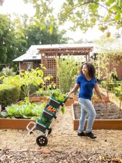 Mod Hod Trolley With Teal Mod Hods -Grow Essentials Sales 8610240 0070 tif