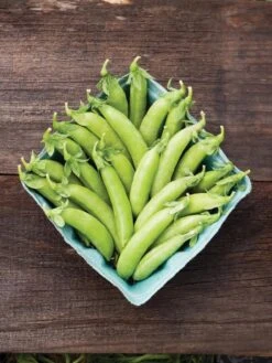 Family Garden Organic Seed Collection, Set Of 7 -Grow Essentials Sales 8610262 cascadia peas 01V tif