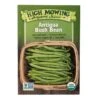 Antigua Bush Bean Organic Seeds