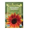 Velvet Queen Sunflower Organic Seeds -Grow Essentials Sales 8610362 9977 velvet queen sunflower organic seeds