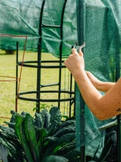 Maxi Garden Hoops With Clips 14 Maxi Garden Hoops With Clips -Grow Essentials Sales 8610372 368 tif