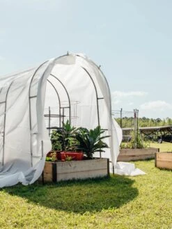 Maxi Garden Quilt -Grow Essentials Sales 8610373 373 tif