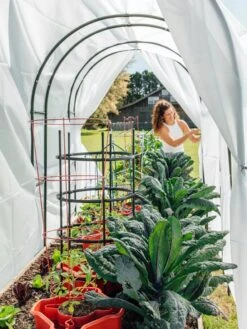 Maxi Garden Hoops With Clips 13 Maxi Garden Hoops With Clips -Grow Essentials Sales 8610373 377 tif