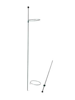 Peacock Mini Plant Support Rings 4", Set Of 2 -Grow Essentials Sales 8610386 9566