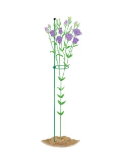 Peacock Mini Plant Support Rings 4", Set Of 2 -Grow Essentials Sales 8610386 peacock4x36