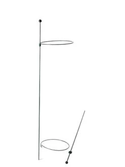 Peacock Mini Plant Support Rings 8", Set Of 2 -Grow Essentials Sales 8610388 9565 tif