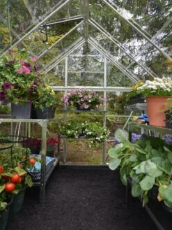 Canopia® By Palram Harmony™ Greenhouse, 6' X 14' -Grow Essentials Sales 8610563 03V jpg