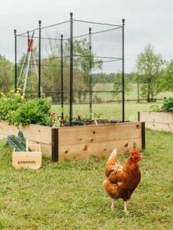 Tall Chicken Wire Critter Fence With Gate -Grow Essentials Sales 8611020 316 tif