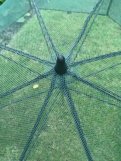 GardenSkill Pop N Crop Plant Umbrella -Grow Essentials Sales 8611105 07V tif