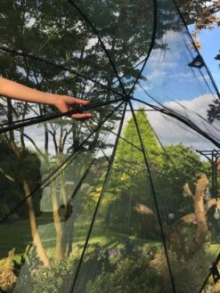 GardenSkill Pop N Crop Plant Umbrella -Grow Essentials Sales 8611105 09V tif