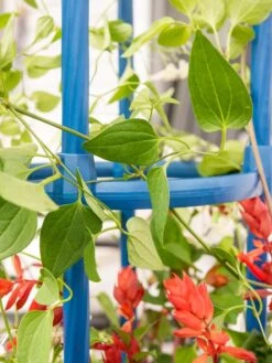 Fleur De Lis Obelisk, 67" 9 Fleur De Lis Obelisk, 67" -Grow Essentials Sales 8611663 0607 tif