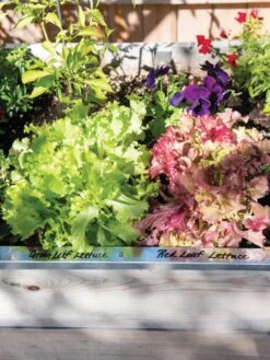 Re-Markable Raised Bed Trim 13 Re-Markable Raised Bed Trim -Grow Essentials Sales 8611758 306 tif