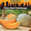 Hales Best Cantaloupe Organic Seeds 1 Hales Best Cantaloupe Organic Seeds -Grow Essentials Sales 8611872 02v hales best cantaloupe organic seeds