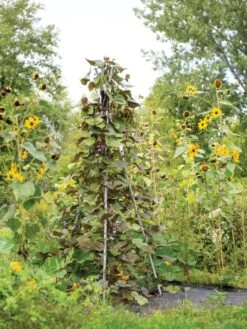 DIY Connector For Teepee Trellis -Grow Essentials Sales 8611896 062 tif