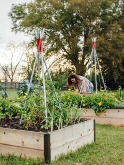 DIY Connector For Teepee Trellis -Grow Essentials Sales 8611896 38 tif