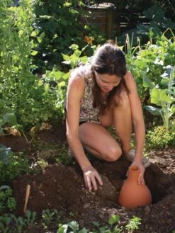 Hydro Max Watering System -Grow Essentials Sales 8611967 15V tif