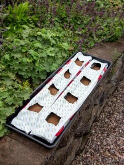 Berry Blend Coir Grow Bag, Set Of 2 -Grow Essentials Sales 8611968 361 tif