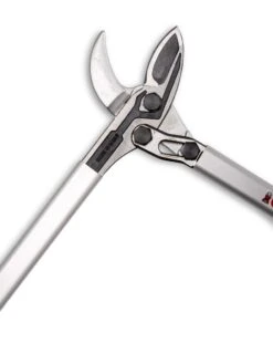 Castellari Long-Handled Anvil Lopper -Grow Essentials Sales 8611970 007 tif