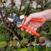 Castellari B12 Double-Blade Pruner 2 Castellari B12 Double-Blade Pruner -Grow Essentials Sales 8611973 098 tif