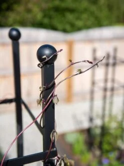 Essex Square Obelisk -Grow Essentials Sales 8611984 278 tif