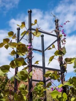 Essex Square Obelisk -Grow Essentials Sales 8611984 354 tif