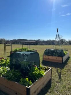 Pest Control Pop-Ups -Grow Essentials Sales 8611989 05 tif