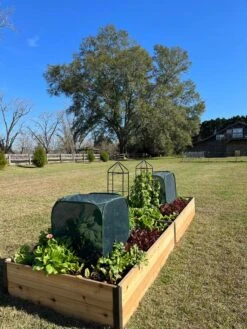 Pest Control Pop-Ups -Grow Essentials Sales 8611989 08 tif