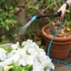 Indoor Outdoor Plant Sprayers -Grow Essentials Sales 8611993 029 tif