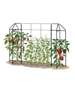 Zenith Trellis -Grow Essentials Sales 8612035 art tif