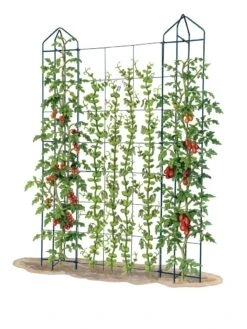 Zenith Trellis -Grow Essentials Sales 8612036 art tif
