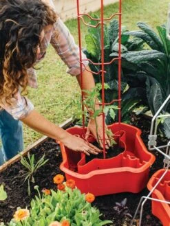 Deluxe Tomato Halos, Set Of 2 -Grow Essentials Sales 8612045 135 tif