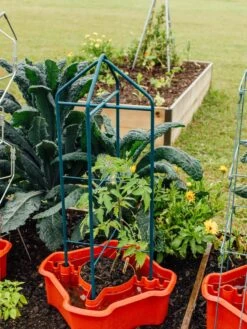 Deluxe Tomato Halos, Set Of 2 -Grow Essentials Sales 8612045 221 tif