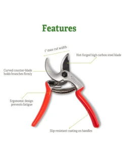 Castellari Mini Anvil Pruner 12 Castellari Mini Anvil Pruner -Grow Essentials Sales 8612199 5