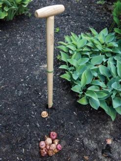 Wicked Big Dibber -Grow Essentials Sales 8612667 0028