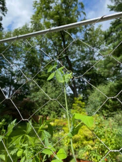 Chicken Wire Pea Trellis -Grow Essentials Sales 8612718 7311