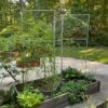 Chicken Wire Pea Trellis -Grow Essentials Sales 8612718 7313 chicken wire pea trellis