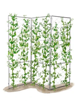 Chicken Wire Pea Trellis -Grow Essentials Sales 8612718 peatrellis art chicken wire pea trellis