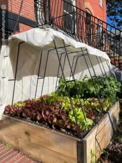 Zenith Garden Hoops, Set Of 4 -Grow Essentials Sales 8612816 01CUST 1