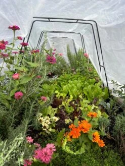 All-Purpose Garden Fabric 14 All-Purpose Garden Fabric -Grow Essentials Sales 8612816 01TEST