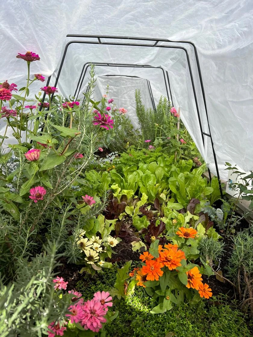 All-Purpose Garden Fabric 8 All-Purpose Garden Fabric - Image 6