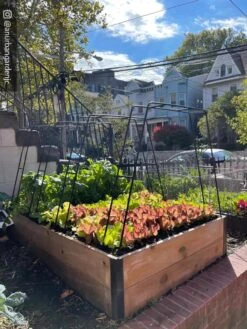 Zenith Garden Hoops, Set Of 4 -Grow Essentials Sales 8612816 02CUST