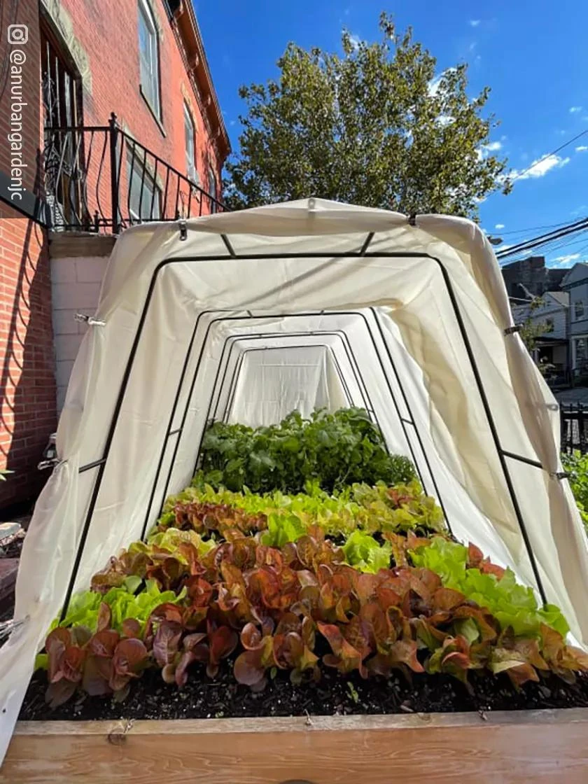 Cotton All Purpose Garden Cover 7 Cotton All Purpose Garden Cover - Image 5